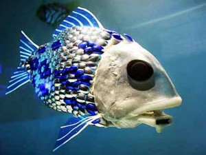 Dünyanın İlk Robot Balığı
